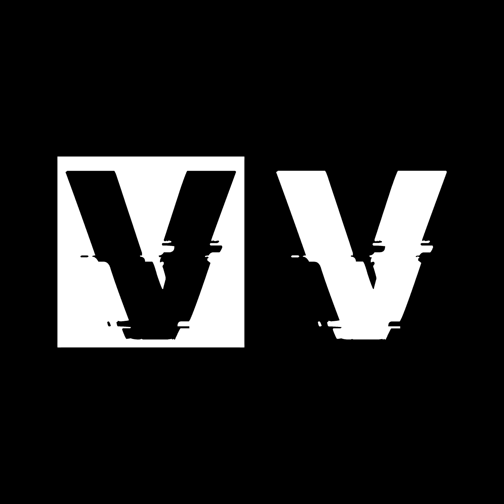 Logo en noir et blanc de Vae Victis vos spécialistes en web marketing basé à Nice.